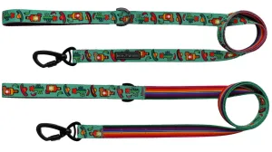 Big & Little Dogs Dog Leash - Mexican Fiesta