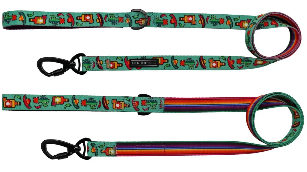 Big & Little Dogs Dog Leash - Mexican Fiesta