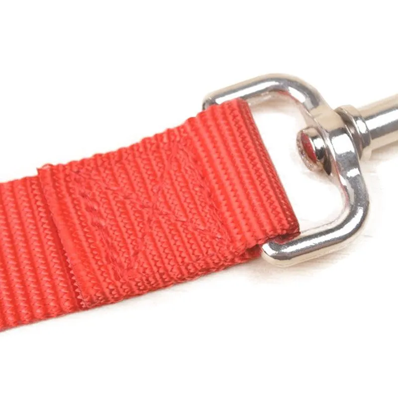 Casual Nylon Leashes For Dogs