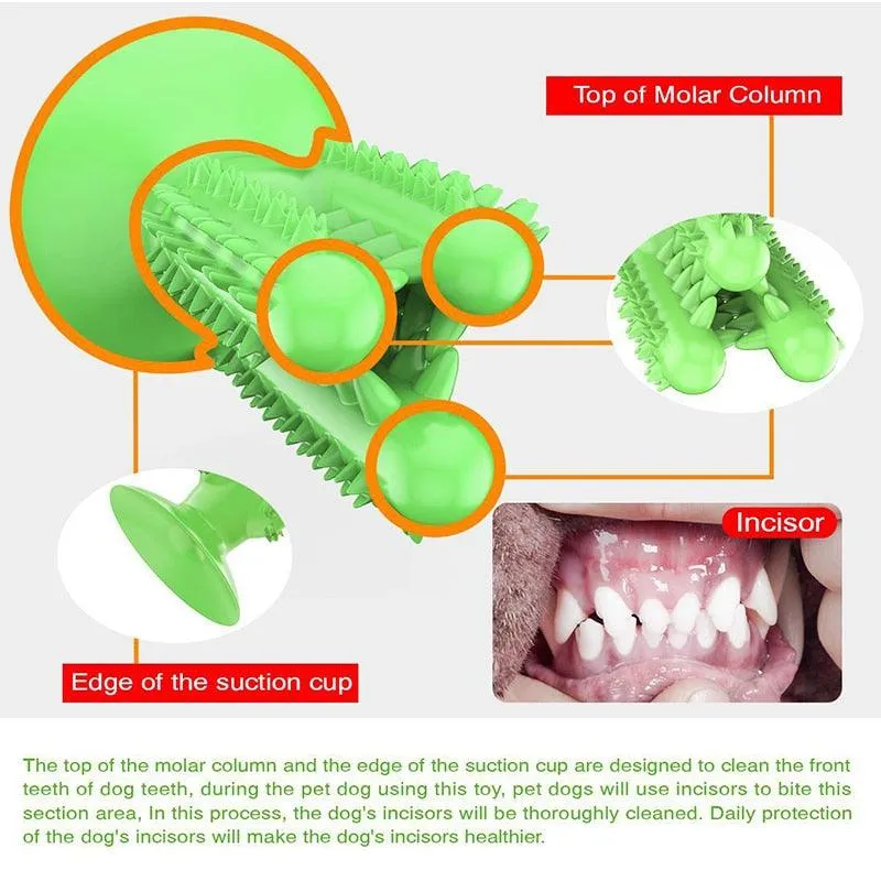 Chewing Toothbrush Toy for Dogs