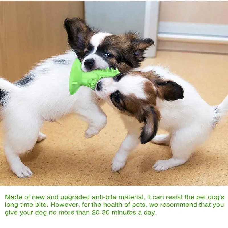 Chewing Toothbrush Toy for Dogs