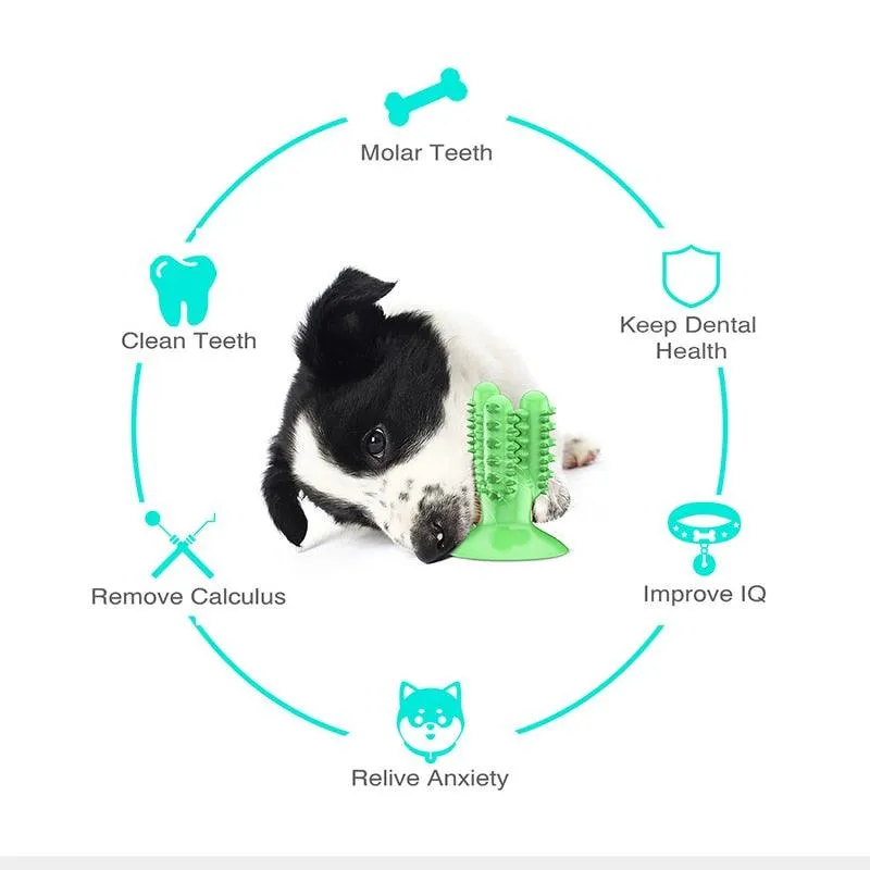 Chewing Toothbrush Toy for Dogs