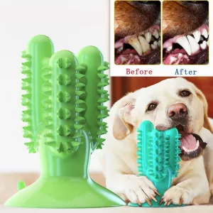 Chewing Toothbrush Toy for Dogs