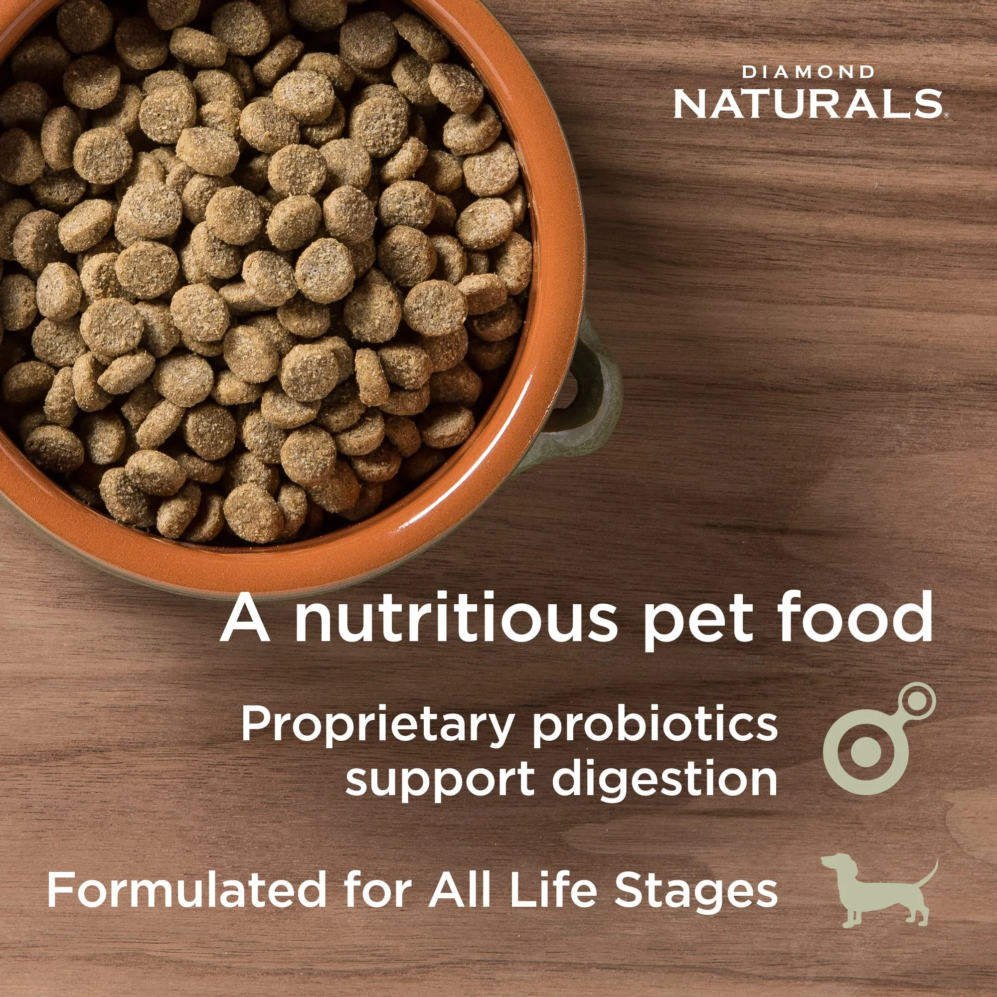 Diamond Naturals - Skin & Coat Salmon & Potato Formula Dry Dog Food 15lb