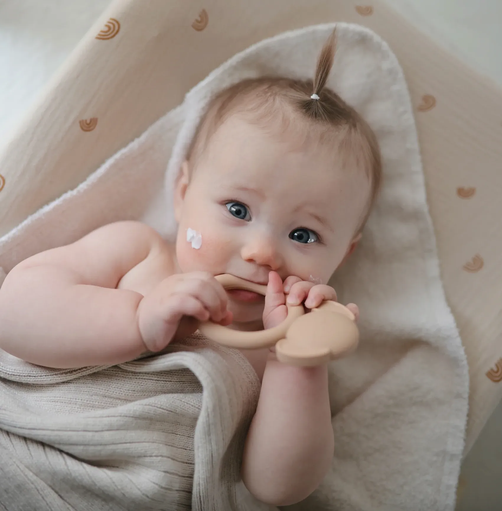 Dog Teether