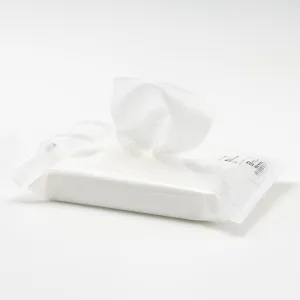 Refill Sheets for Floor Mop (Wet)